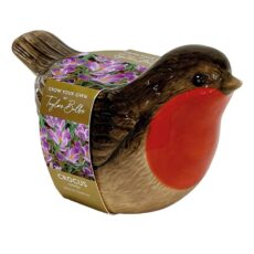 5015882025800 1 Taylors Ceramic Robin Planter with Striped Crocus Bulbs.jpg